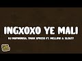DJ Maphorisa, Tman Xpress - Ingxoxo Ye Mali ft. Mellow & Sleazy