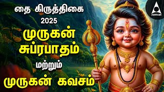 Thai Krithigai  Powerful Murugan Suprabatham And Muruga Kavasam | Murugan Bakthi Padalgal