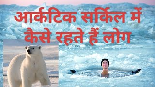 आर्कटिक सर्कल का रहस्य  वन्यजीवन और शहर की जिंदगी #arctic #arcticcircle  #polarbear #northpole