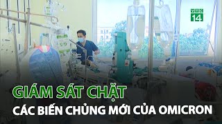 Giám sát chặt các biến chủng mới của Omicron | VTC14