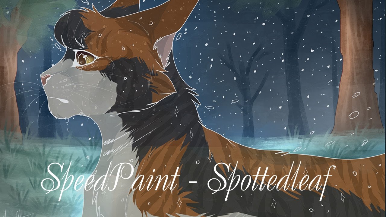 Warriors Speedpaint Spottedleaf Youtube