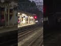 20240916 滋賀　近江塩津駅　しらさぎ shorts