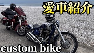 【長距離トレーラー運転手休日】バイク聖地より、フルカスタムしたロッカーCとコラボ　愛車ご紹介‼️@miyatanchannel