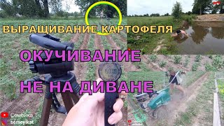 Окучивание картофеля не на диване! Окучивание мотокультиватором НА ВРЕМЯ - Ответ диванным экспертам!