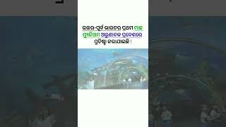 ଉତ୍ତର-ପୂର୍ବ ଭାରତର ୧ମ ମାଛ ମ୍ୟୁଜିଅମ୍ କେଉଁଠି ଅଛି ? odia gk #bml7246 #gkshort #short #fishmuseum #gk