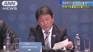 アメリカなき「TPP11」は年内にも発効へ(18/10/30)