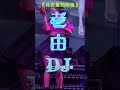 月亮里的阿妹 车载音乐 跟着节奏嗨起来 中文dj 车载u盘 就怕老歌带dj