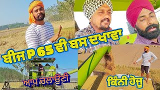 p65 ਬੀਜ ਦੇਖਣ ਨੂੰ ਕੁਝ ਪਰ ਵੱਡਣ ਤੋ ਬਾਅਦ ਕੁਝ ਹੋਰ@dalvirmahal735