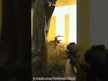 Sniper CQB - The Finals