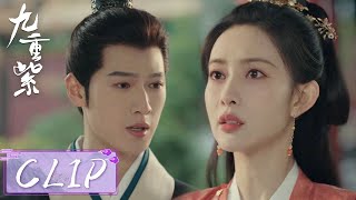 EP14 Clip | 皇帝欲赐婚宋墨，宋墨试探窦昭心意帮她退亲【九重紫 Blossom】