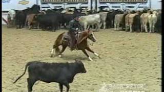 Spots Hot - 2004 NCHA Open Futurity champion