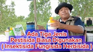 Jenis Pestisida Yang Biasa Digunakan Pada Tanaman Alpukat