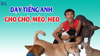 Đưa heo, chó, mèo về nhà dạy Tiếng Anh - ĐỘC LẠ BÌNH DƯƠNG