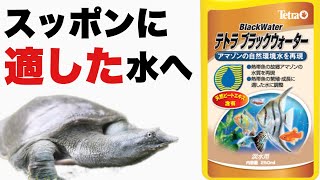 【テトラ・ブラックウォーター】水質検査でPH、硬度の下がり具合を確認！液状で使いやすいブラックウォーターについて検証、考察。亀・スッポン飼育の救世主になれるか！？