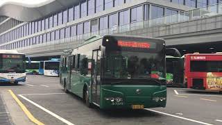 杭州公交 ZK6125HNG2 179路 3-7373