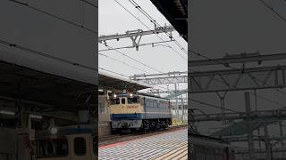 EF65 2092単機/四季島と裏被り