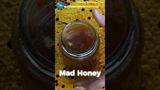 This Honey Really Made You Mad | #shorts