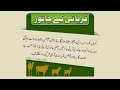 kin janwaron ki qurbani jaiz hai kin janwar ki qurbani jaiz hai qurbani eid ul adha eid al azha