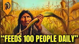 This Native Supercrop Is WAY Better Than Corn And No One Grows It Anymore!