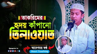 তাকরিমের মায়াবী কণ্ঠে তিলাওয়াত | Hafez Saleh Ahmad Takrim | হাফেজ সালেহ আহমদ তাকরীম Quran Tilawat