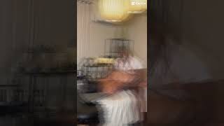 Erotic Massage Massage Relax