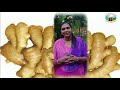 inchi gramam project ginger village project archana women s centre