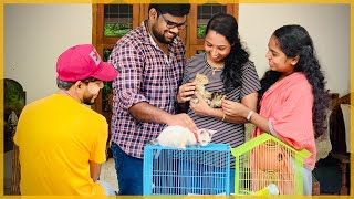 CAT GIVEAWAY WINNER 🎊🎁 | കുഞ്ഞാപ്പിയുടെ ആലിബാബ യാത്രയായി