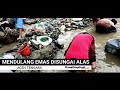 mendulang emas di sungai alas