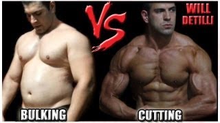 TRANSFORMAÇÃO ABSURDA 90 DIAS - Bulking X Cutting (Will Detilli)