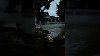 heboh!!!!!!!! kediri di landa banjir besar kecamatan nGablak