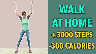 3000 Steps, 300 Calories - Walk Exercise At Home