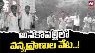 అనకాపల్లిలో వన్యప్రాణుల వేట..! | Wildlife Hunting In Anakapalle @Hittvtelugunews