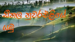 Travel to Nuwaraeliya (සීතල නුවරඑළියේ සවාරියක් )🚿