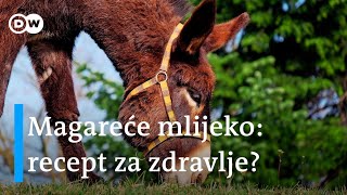 Magareće mlijeko: lagan biznis i recept za zdravlje?