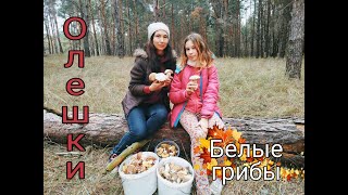 Белые грибы . Олешковский лес, Херсонская область