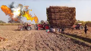 Great and Powerful Belarus tractor🚜 to get sugarcane-filled trailer out of the field - Pendu Life