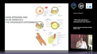 S. Piccolo - TGF-beta signaling in development and cancer