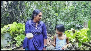 1587 🏡 ക്യാമറ ഇല്ല... 📱വീണ്ടും ഫോൺ 🌧️ മഴ 🤍 ഇങ്ങനെ വീഡിയോ എടുക്കുന്നത് അത്ര പ്രാക്ടിക്കൽ അല്ല 🤔