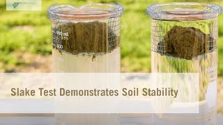 Slake Test Demonstrates Soil Stability