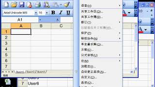 郭安定：Excel 2003 企业协作 06-01 多人同时编辑汇总