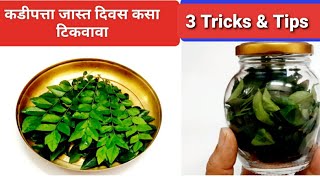 कडीपत्ता बरेच दिवस टिकवण्याची सोपी पद्धत | Kadipatta kasa tikvaycha | store curry leaves Abhi'sHome