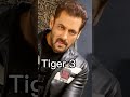 salman khan🥰 tiger 3🔥 video best shortsvideo 😘 tiger3 🔥 shortvideoviral salmankhan salmankhan👈🏻