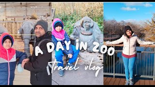 अमेरिकेतील प्राणीसंग्रहालय|American Zoo Day Out|NRI Family Vlog|USA vlog Marathi @MarathiInAmerica