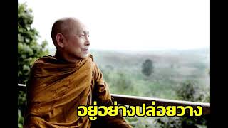 อยู่อย่างปล่อยวาง - พระไพศาล วิสาโล