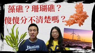 什麼是藻礁？它和珊瑚礁有什麼不一樣？學泰語也可以保護自然生態