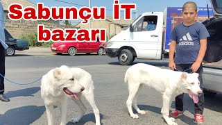 Sabunçu İT bazarı 31.07.22 @mubarizemintv  #sabuncuitbazari #sabuncutoyuqbazari #sabuncuqusbaza