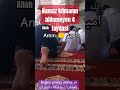 namaz kılmanın bilinmeyen 4 faydasi hayalhanem sözler dinivo dinihikaye dua reels salat