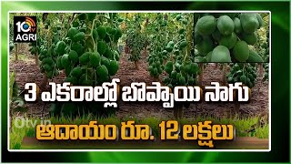 3 ఎక‌రాల్లో బొప్పాయి సాగు ఆదాయం రూ . 12 లక్ష‌లు | Matti Manishi | 10TV News