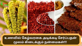 கேழ்வரகு மருத்துவ பயன்கள், Benefits of ragi in Tamil, Finger millet, ராகி, Kezhvaragu, YogicScience