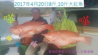 【香港釣魚】《外海沉船排8斤10斤大紅魚8斤青斑》『Offshore Grouper Fishing』